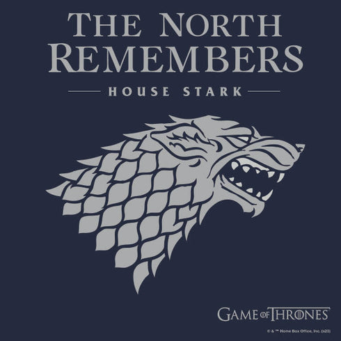 Game of Thrones: House Stark The North Remembers Nintendo Switch Lite Skin
